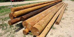 Utility Pole